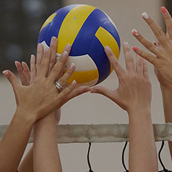 Volleyball Court Padding