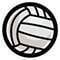 Volleyball Icon